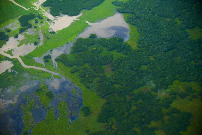 Pará fará primeira concessão de restauro florestal para iniciativa privada