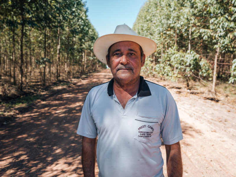Presti-Campo fomenta a biomassa no Mato Grosso