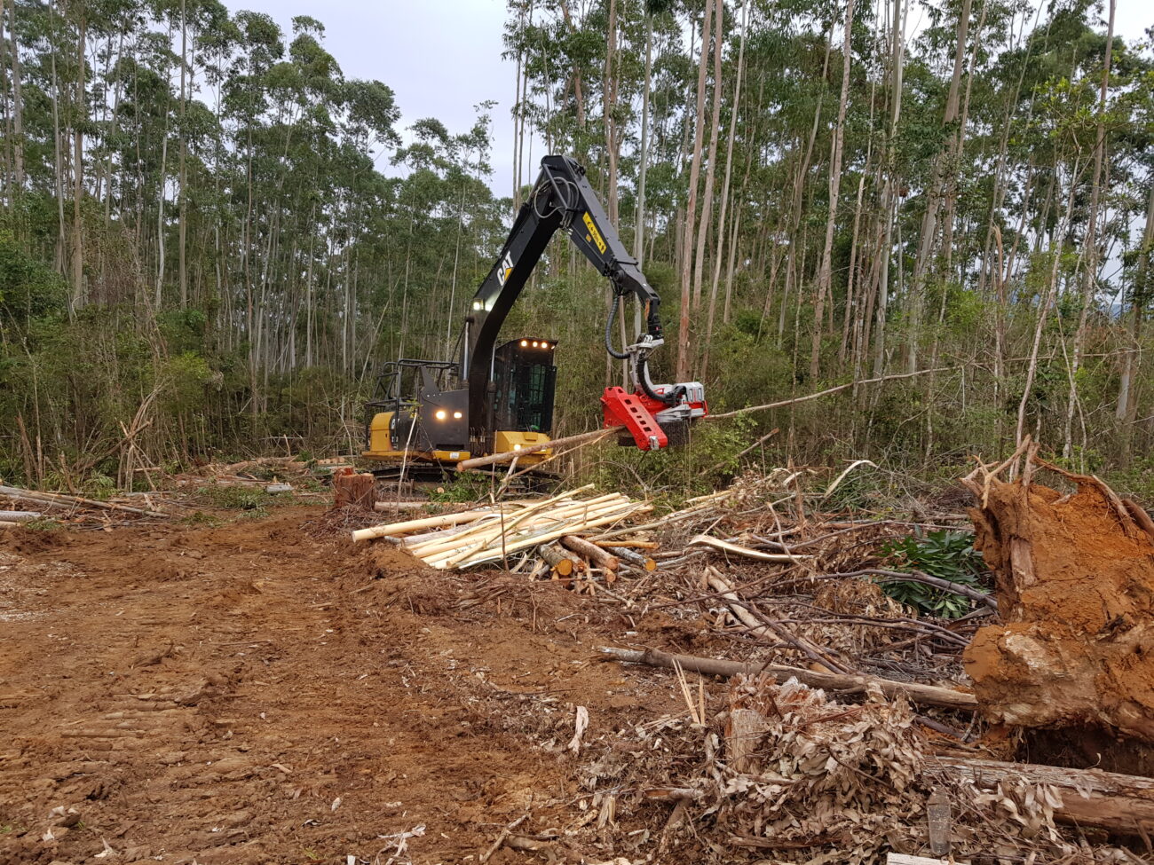 Cabeçotes da Log Max oferecem durabilidade e eficiência ao mercado florestal