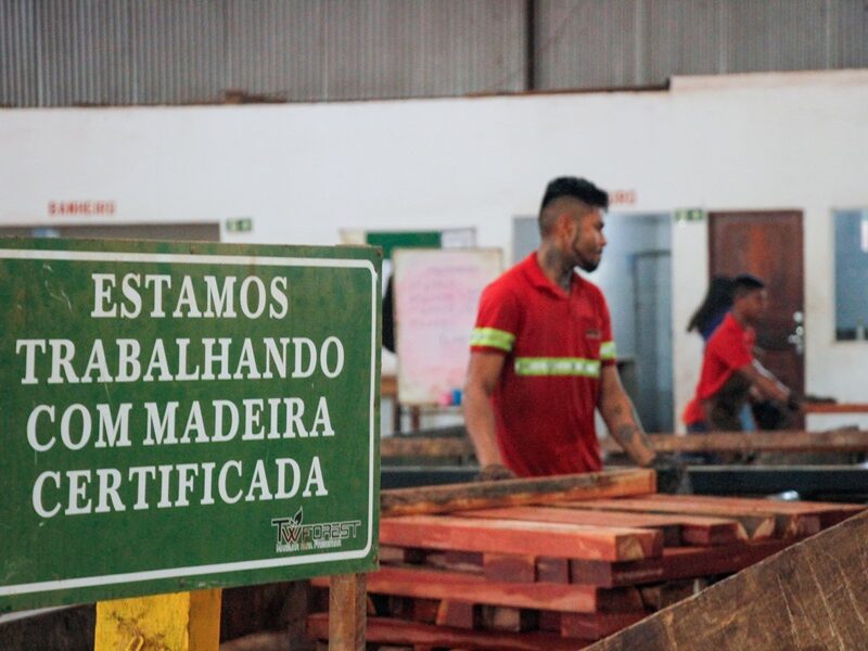 Governo do Amapá destaca ação de manejo sustentável da madeira