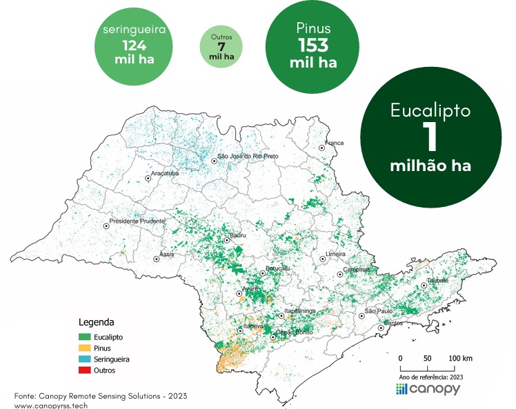 São Paulo registra aumento de 5% na área cultivada desde 2021