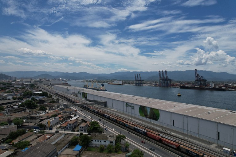Conheça como é a logística da exportação de celulose no Brasil