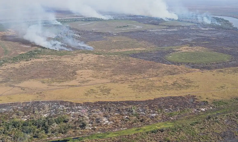Cresce alerta de desmatamento do Inpe na Amazônia