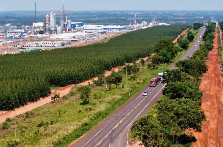 Lei oficializa Vale da Celulose como polo estratégico do desenvolvimento industrial em MS